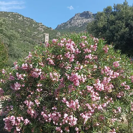 Chateau De Sur Orb Apartahotel 4*